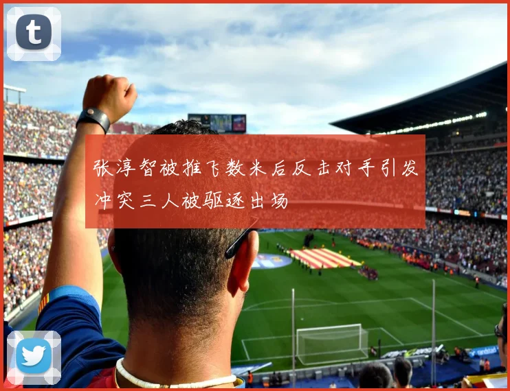 张淳智被推飞数米后反击对手引发冲突三人被驱逐出场