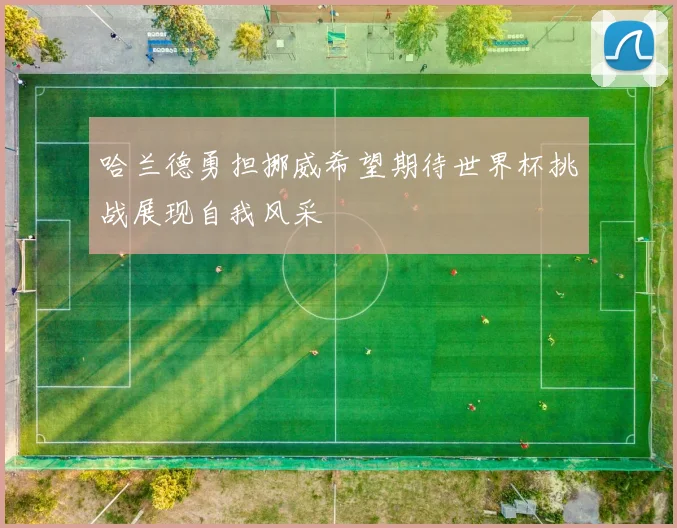 哈兰德勇担挪威希望期待世界杯挑战展现自我风采