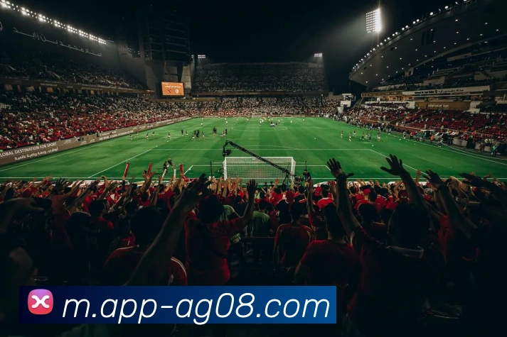 ag真人APP 封面图